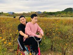 -北京东方普罗旺斯薰衣草庄园