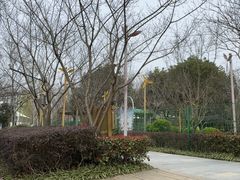 -合肥滨湖国家森林公园