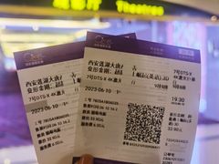 -中影国际影城(大唐西市4K临境音店)