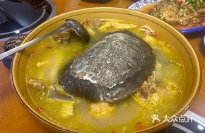 Softshell Turtle and Free-range Chicken Stew