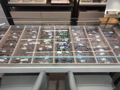-博士眼镜集团石人工眼镜(虹口万泰店)