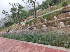 -白鹭湾湿地公园