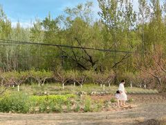 -白鹿原影视城