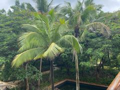 -亚龙湾喜来登·美景台大堂吧