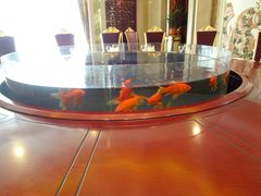 等位区-聚宝渔港.五钻酒家(上地店)