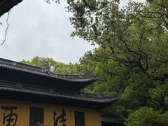 -普陀山风景名胜区-法雨禅寺