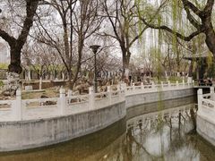 -桃花堤公园