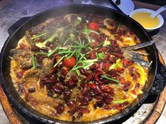 -老板恋上鱼(恒隆广场店)