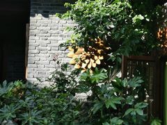 -丽江花间堂·隐泉院