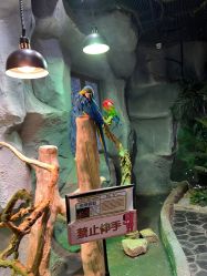-Zoolung Zoolung动物主题公园(海信广场店)