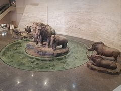 -大庆市博物馆