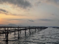 -盐洲岛