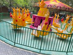 -长白岛森林公园