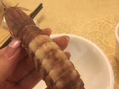 -新锦鸿(演达店)