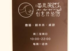 -三花喵·撸猫购宠·宠物生活馆(虹桥南丰城店)