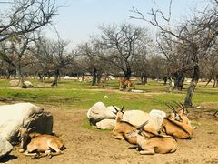 -西安秦岭野生动物园