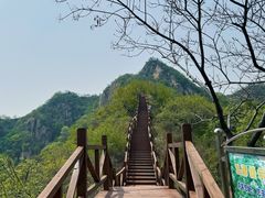 -大岭沟猕猴桃谷风景区