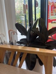 -和颜一美轻医美连锁