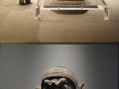 -四川大学博物馆
