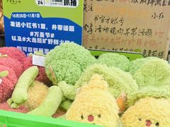 -大龙燚·旷野鲜火锅(广州首店)