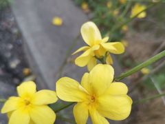 -钟山体育运动公园