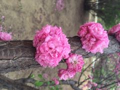 南湖公园-沈阳南湖公园