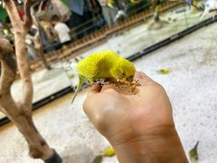 -上海大自然野生昆虫馆