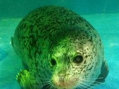 -成都浩海立方海洋公园