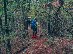 -石台牯牛降景区
