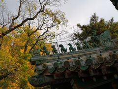 -潭柘寺景区
