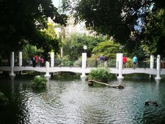 -九龙公园