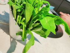 蔬菜拼盘-二十一分小锅炖(中心店)