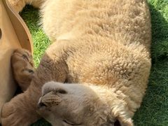 -鄂尔多斯野生动物园