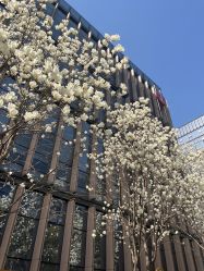 -南京市儿童医院(河西院区)