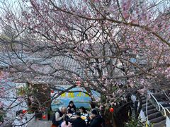 -云隐小厨·传统大理美食(复兴路店)