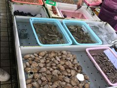 -大湾区中央湿地公园-十九涌
