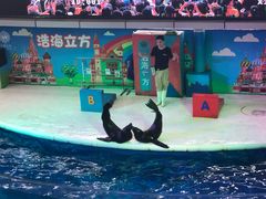 -成都浩海立方海洋公园