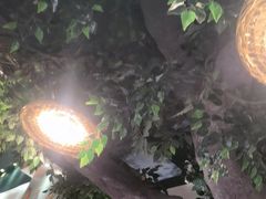 -槐店王婆大虾(开发区店)