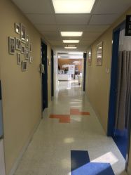 -杭州贝瑞斯美华妇儿医院·早孕·产检·儿科