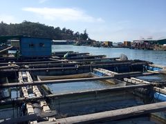 -海上驿站渔家菜馆