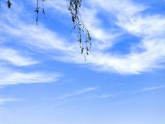 -颐和园