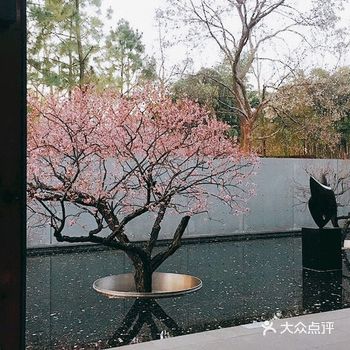 春季好适合外出赏花，最近阴雨绵绵，从中挑了个难得阳光