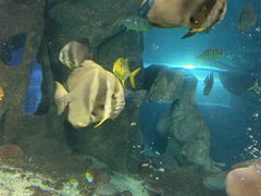 -太平洋海底世界