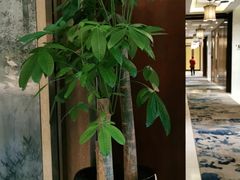 -一品淮扬 · 淮扬菜·北京万达文华酒店