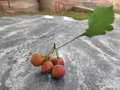 -太阳宫公园