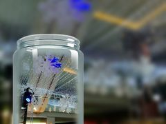 -上海静安香格里拉大酒店