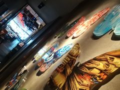 -蝴蝶汇音乐酒馆(罗湖店)