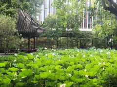 -上海醉白池公园