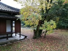 -京都御所