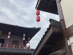 -大唐贡茶院